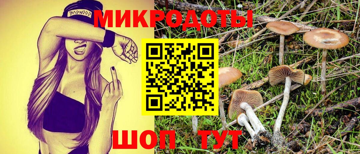 Псилоцибиновые грибы Psilocybine cubensis Аргун