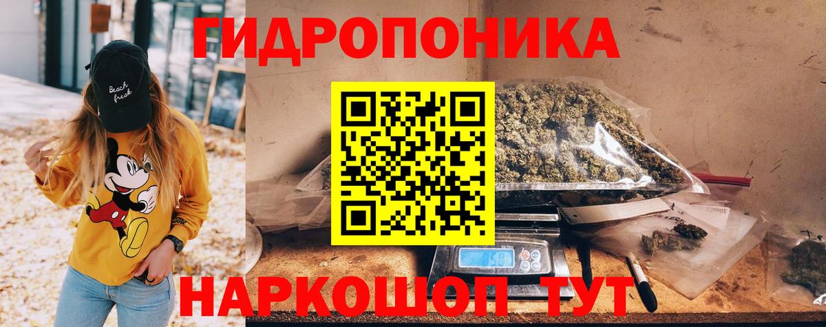 Шишки марихуана тримм  Вход с VPN  МАРИХУАНА сатива  Аргун  Каннабис Bruce Banner 
